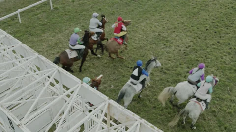 Horse Sport Start Race on Hippodrome Elevated View Stock Footage