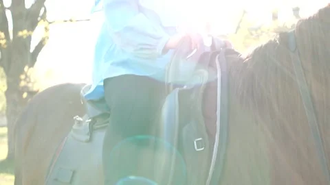 Horse in spring Stock Footage 132406462