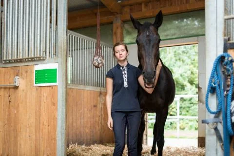 Horse In The Stable Stock Photos