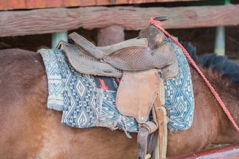 Horse in stable Stock Photos