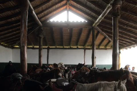 Horse Stable Stock Photos