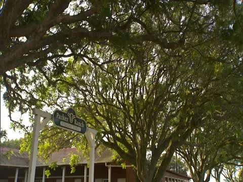 Horse Stables 스톡 동영상 22250413