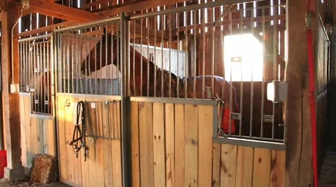 Horse in stall 2 Stock Footage 726576