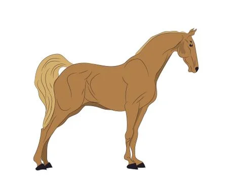Horse standing, color, vector Illustrazione stock