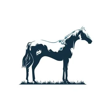 Horse Standing on Grass Side View Animal Farm Wildlife Silhouette Engraving S Stock Illustration