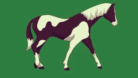 Horse Standing Motion Graphic Overlay 스톡 동영상 338017458