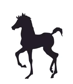 Horse standing, silhouette, vector Stock-Illustration