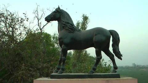 Horse Statue Video stock 73849289