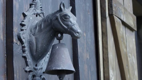 A horse statue Stock Footage 119920138