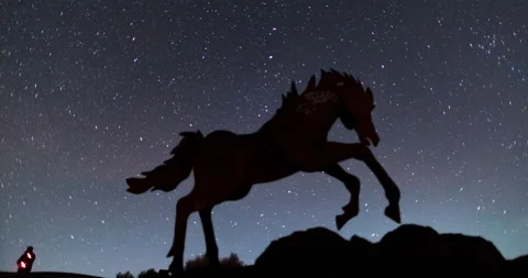 Horse statue starry time lapse Video stock 165245193