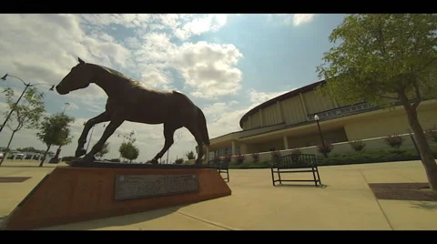 Horse Statue Timelapse Video stock 52323431