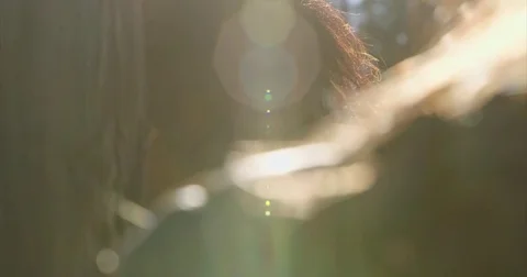 Horse in sunflare close up Stock Footage 71749571