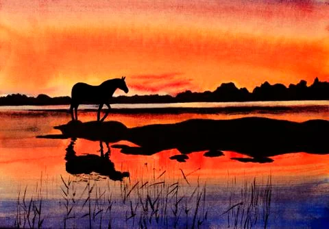 Horse at sunset Stock Illustration