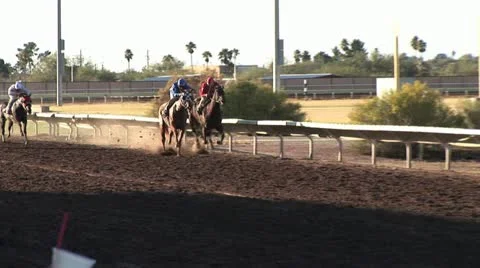 Horse Taking The Lead 動画素材 19152719
