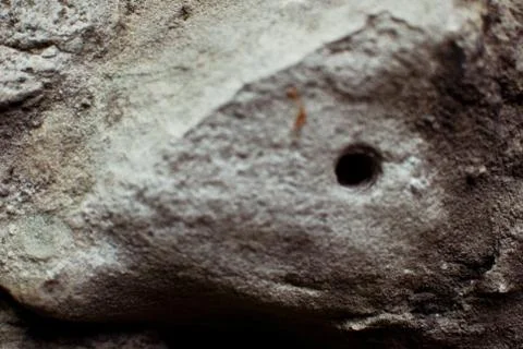 Horse-like texture of the grey rock  Stock Photos