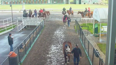Horse Track 1 Stock Footage 10882392