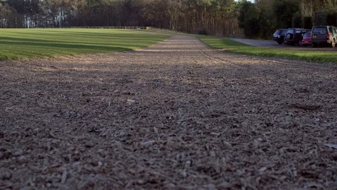 Horse track Stock Footage 127515470