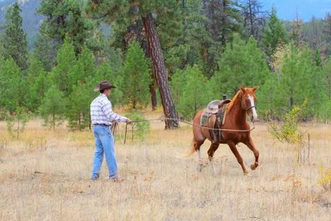 Horse trainer Stock Photos