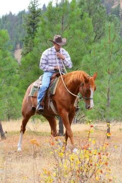 Horse trainer Stock Photos