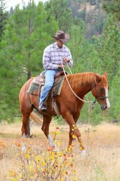 Horse trainer Stock-Fotos
