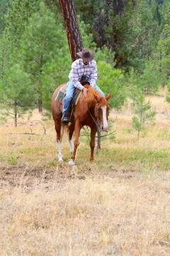 Horse trainer Stock Photos