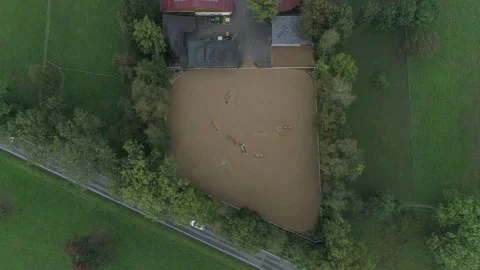 Horse training area. Drone view Stock Footage 266902615