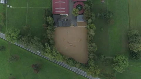Horse training area. Drone view Stock Footage 266904219