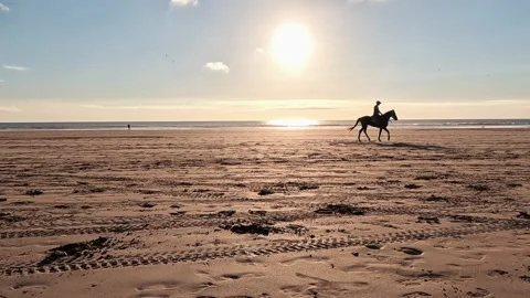 Horse training on the beach in Morocco at sunset 스톡 동영상 261827384