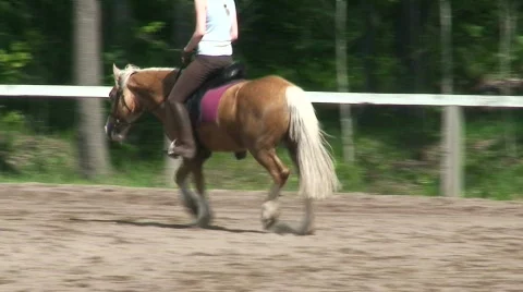 Horse training eight Stock Footage 80548