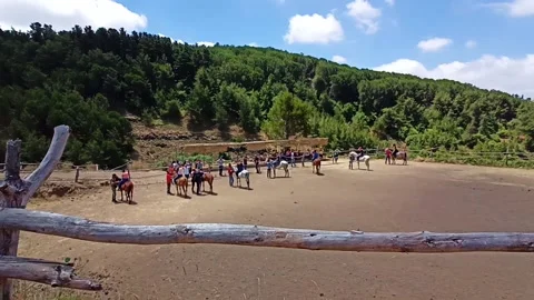Horse training field Stock Footage 194376287