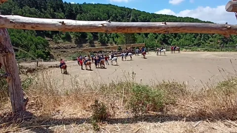 Horse training field Stock Footage 194376522