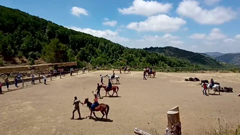 Horse training field Stock Footage 194376640