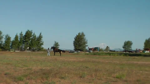 Horse Training 库存影片 39105996