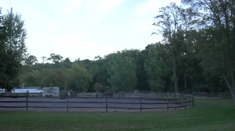 Horse Training In Turn Out Vidéo 42068651