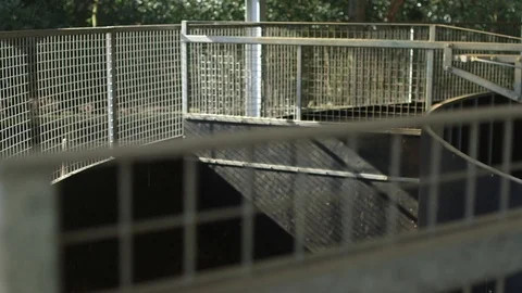 Horse trains in a walking machine Stock Footage 127514967