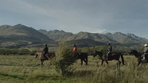 Horse treck Stock Footage 159106177