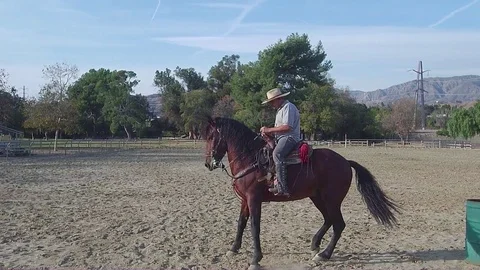 Horse Trot Stock Footage 82882366