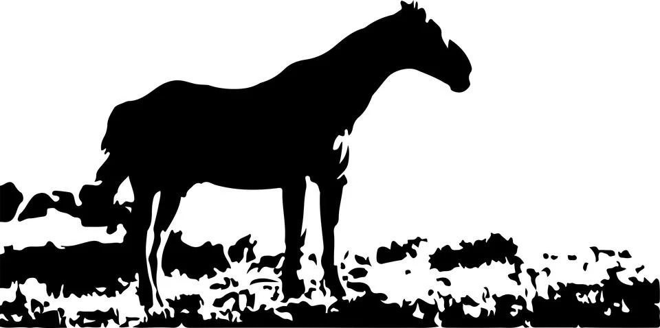 Horse vector on white background Stock Illustration