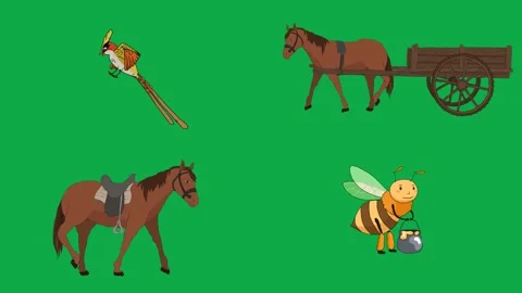 Horse Wagon Pheasant Bee 2d animated cartoon character on green screen High Stock Footage 334703634