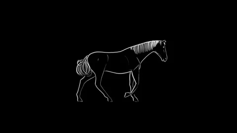 Horse walk loop Stock Footage 285424201