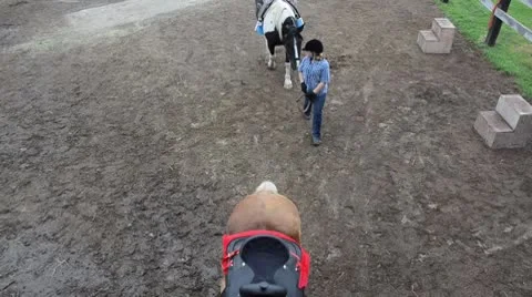 Horse walking into barn Stock Footage 8962376
