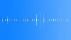 Horse walking cement 02 Sound Effect