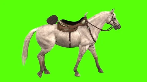 Horse Walking Green Screen Animation and... | Stock Video | Pond5