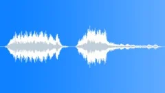 Horse whinnySound Effect