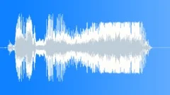 Horse Whinny Sound Effect