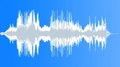 Horse Whinny Sound Effect