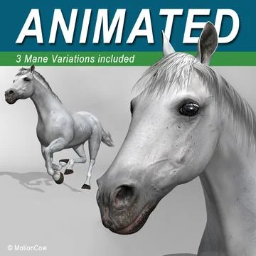 Horse  White 3D Model
