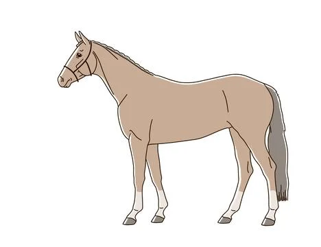 Horse on white background Stock Illustration
