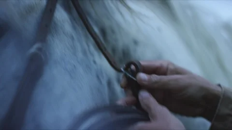 Horse3 Video stock 119758942