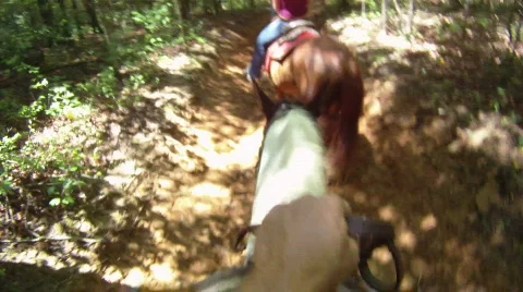 Horseback Adventure Video stock 857479